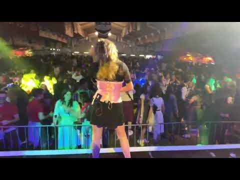 XDREAM, die Liveband - Oktoberfest Altmünster, Traktorführerschein