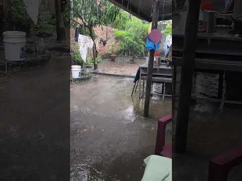 rica lluvia ☔️ en san Julian sonsonate #el salvador #parati #feliztarde