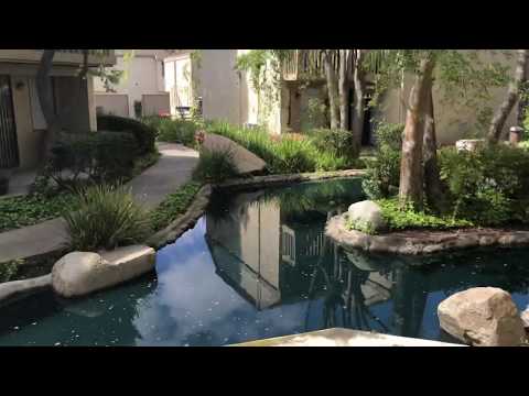 Video Tour of 1x1 733sq ft at Lake Dianne Apartments