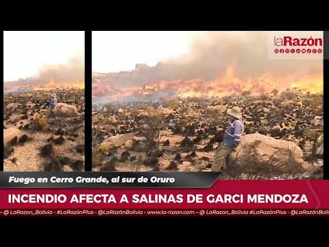 INCENDIO AFECTA A SALINAS DE GARCI MENDOZA