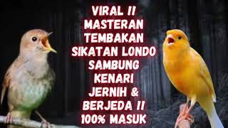 Download lagu VIRAL !! MASTERAN BURUNG SIKATAN LONDO SAMBUNG KENARI !! SUARA JERNIH !! BERJEDA!! 100% MASUK !! mp3