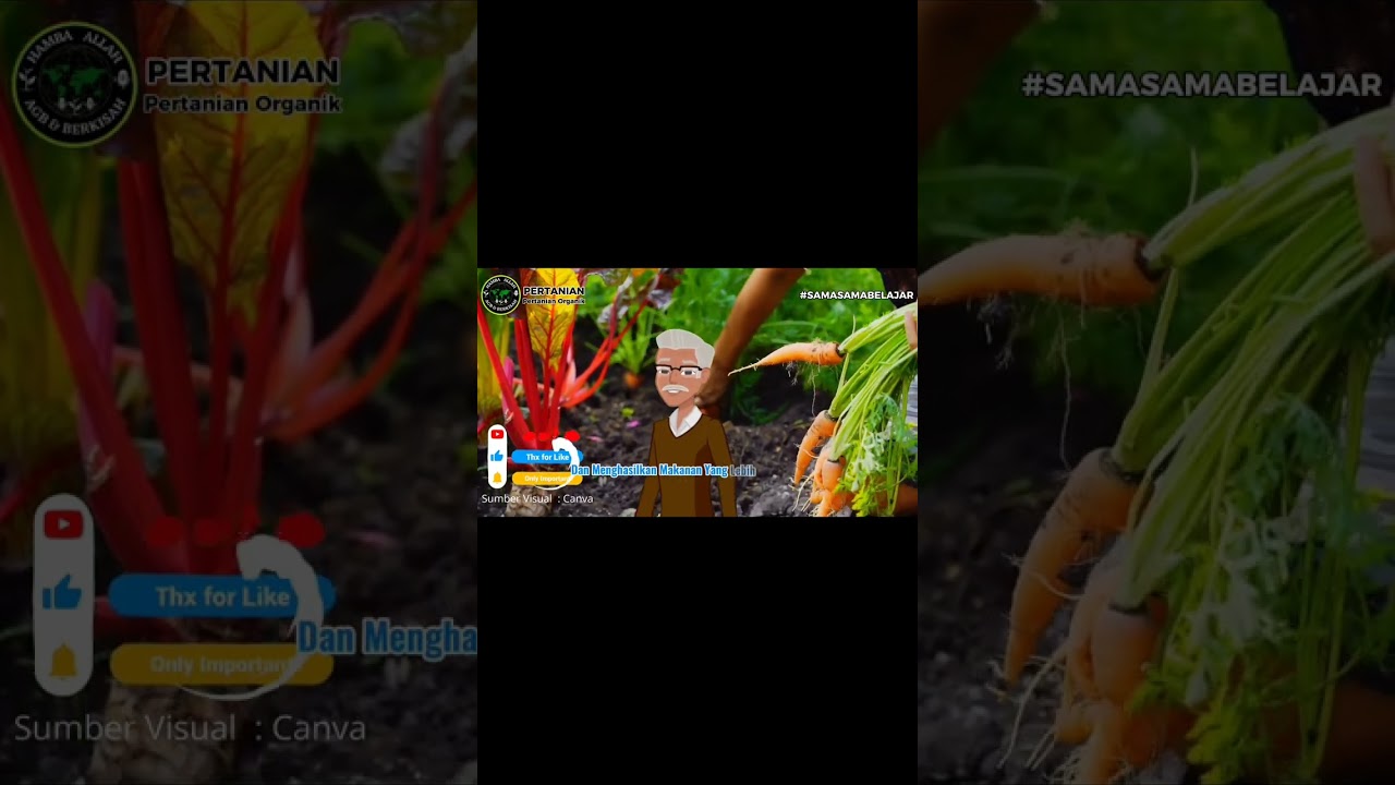 Pertanian Organik: Menuju Masa Depan Pangan yang Sehat dan Berkelanjutan #petani #pertanianorganik