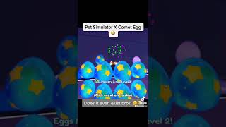 I Got The Comet Egg In PET SIMULATOR! 😤 #petsim #roblox