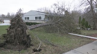 Rockford residents start cleaning up storm damage
