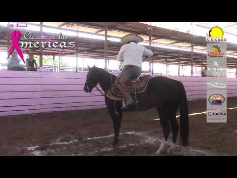 #BoletinCharroTv Muchos Piales reventados en el Clásico