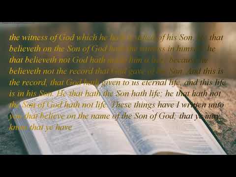 The Holy Bible | book 62 - 1 John - Chapter 05