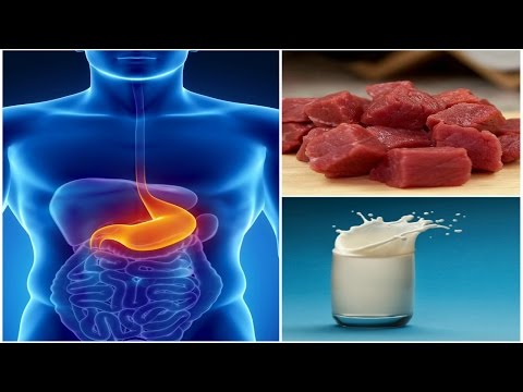 Pagkain para sa pagbaba ng timbang lean Programa kung saan ang taba mawalan ng timbang