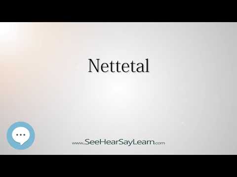 Nettetal (How to Pronounce Cities of the World)💬⭐🌍✅