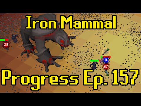 Mastering Combat | Iron Mammal Progress Ep. 157