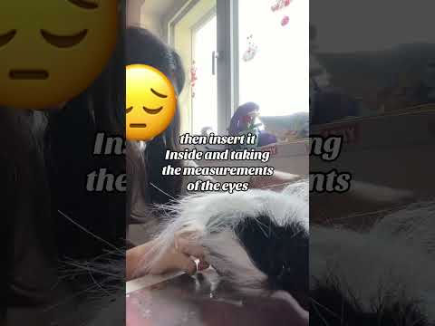 New tutorial,i remake my old mask#therian#therianita#therianthropy 