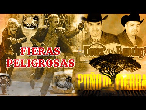 Video thumbnail for Fieras Peligrosas