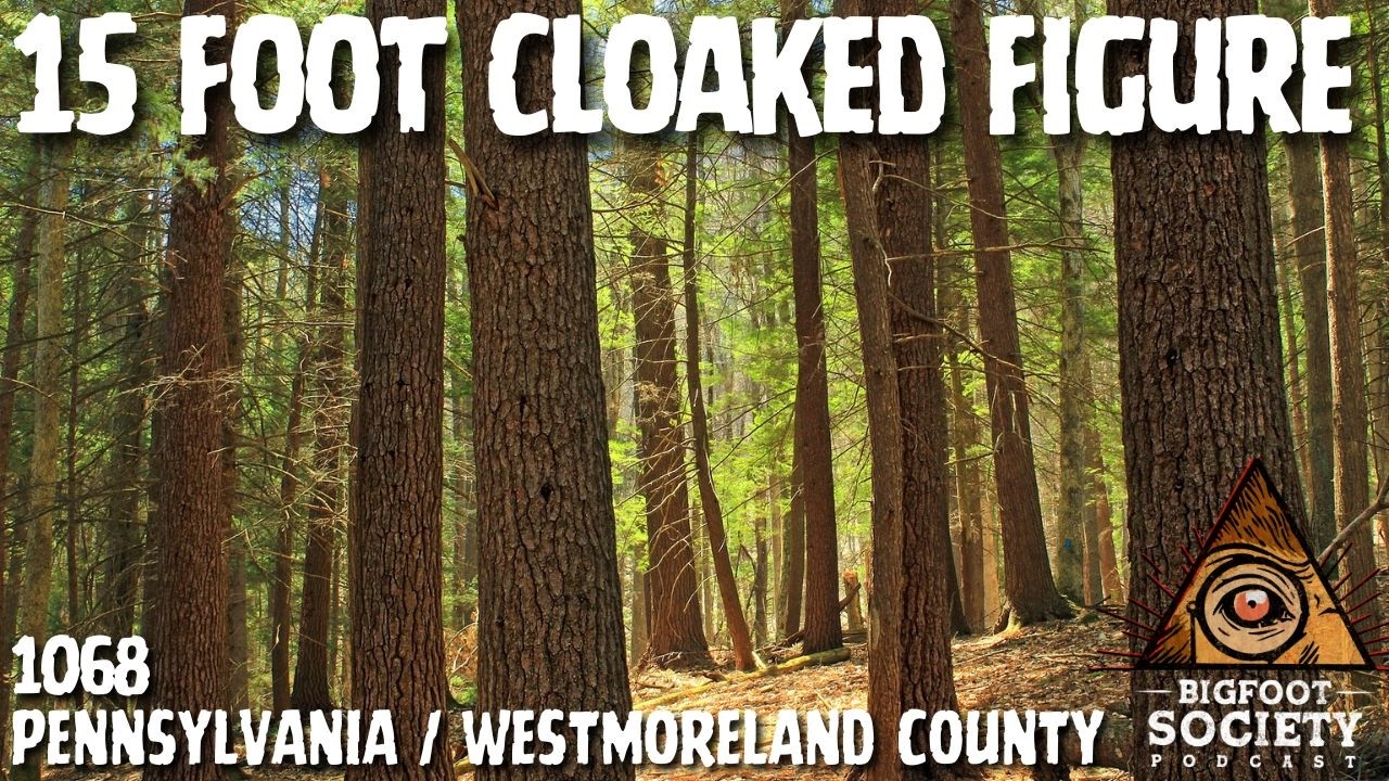 A Hunter in Westmoreland County Describes the Moment Something Passed Beneath His Stand