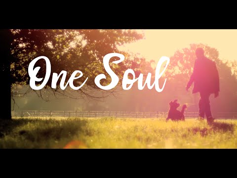 One Soul (OFFICIAL VIDEO) - Susan Jane Rose