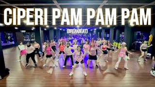 Download lagu CIPERI PAM PAM PAM (Breakbeat) | GELY | FITNESS | DANCE | CARDIO | SENAM  mp3