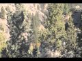 Loma Linda Video