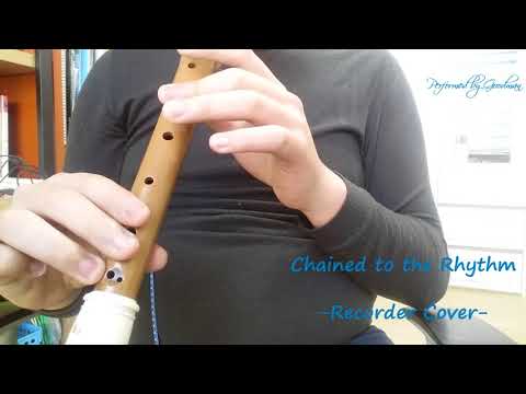 [Recorder Cover] Goodman-Katy Perry-Chained to the rhythm