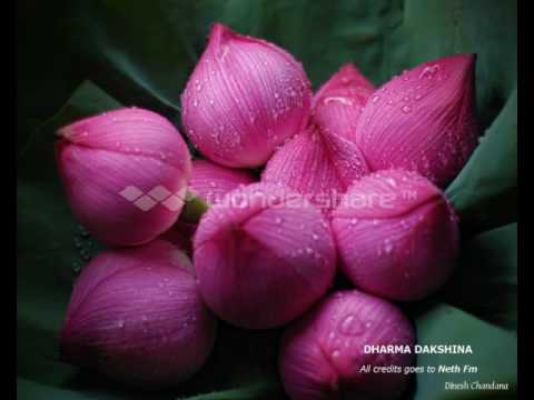 Neth FM Dharma Dakshina Bana 2016/05/26 Ven Kolabisse Dhammananda