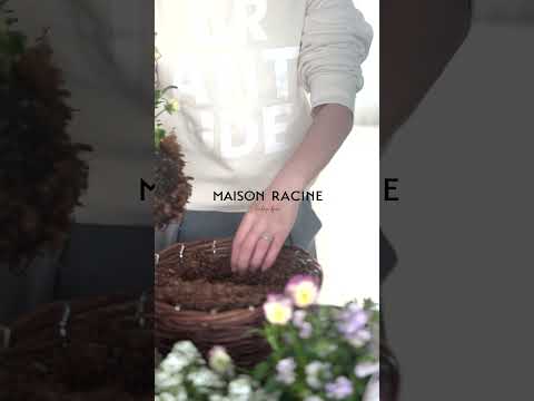 屋外の吊り下げ花: この夏、バルコニー、テラス、庭を飾る、色とりどりの美しい植物 10 個  庭園