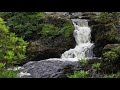 A Short Meditation & Relaxation of Nature Sounds-Birdsong & Soothing Water Sounds by Johnnie Lawson