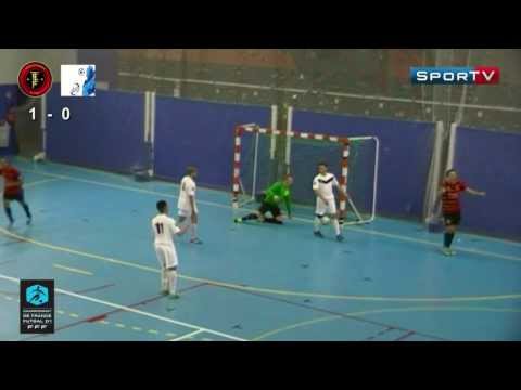 Futsal Les Buts Toulon Tous Ensemble vs Roubaix AFS Résumé Match Championnat de France 2014