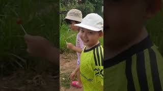 Download lagu Đường về hai thôn, ca sỉ: Mai Tiến Đạt mp3 Download lagu Đường về hai thôn, ca sỉ: Mai Tiến Đạt mp3