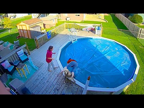 Caught in 4k! Best Security Camera Fails 🤣 Try Not to Laugh Challenge