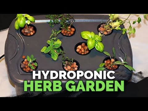 How to Prepare Water for Hydroponics