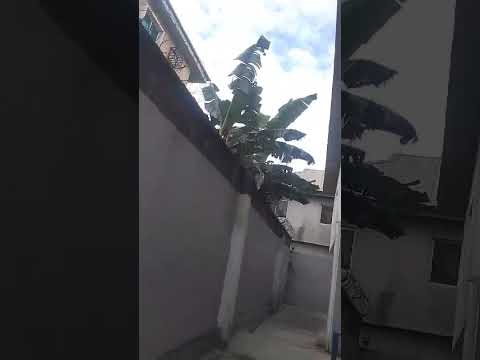 Block of 4 Units of 3-Bedroom Flats at Agodo/Egbe