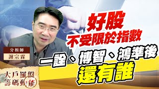 好股不受限於指數 一詮、博智、鴻準後還有誰 (圖)