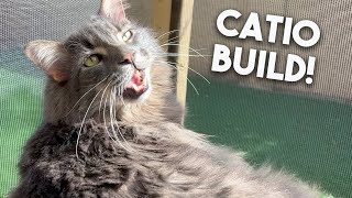 We Built a Catio! - Patio for Your Cats!