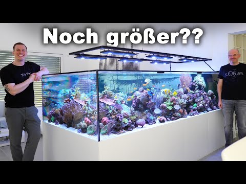 4,5 tons SALTWATER TANK -"What I like /What I don't like" after 2 years! *english subtitles*