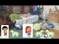 Baby Tv Oliver Discovers Living Room