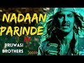 Dil Haara Nadaan Parinde Song By Brijwasi Brothers Hemant Brijwasi And Ajay Brijwasi