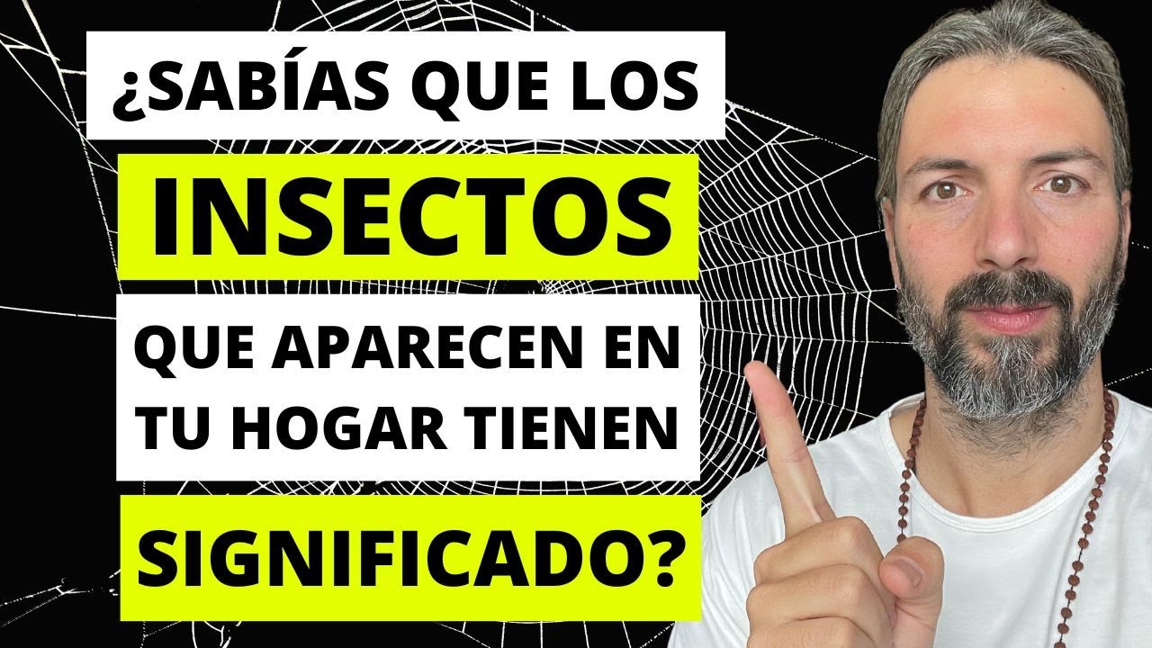 Sabías Que Los Insectos Que Aparecen En Tu Hogar Tienen Significado 🐞🦋