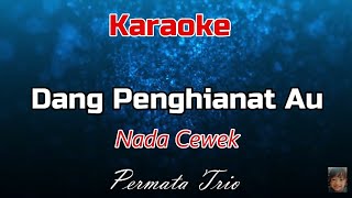 Download lagu Karaoke : Dang Penghianat Au (Nada Cewek) mp3