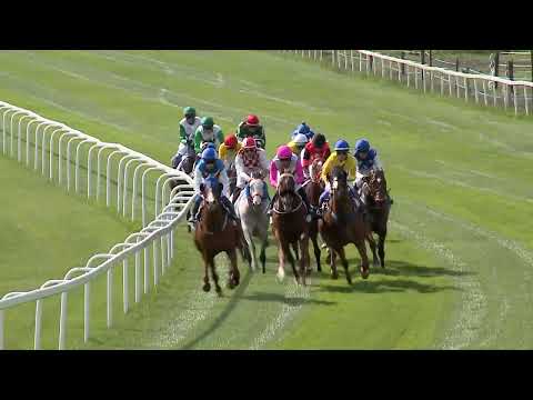 2023.05.07. 04. futam - KINCSEM+ -BÁBOLNAI DÍJ (Elit kat.)