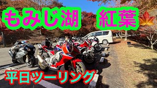 ２０２４年１１月 平日ツーリング　もみじ湖　紅葉ツーリング　箕輪ダム