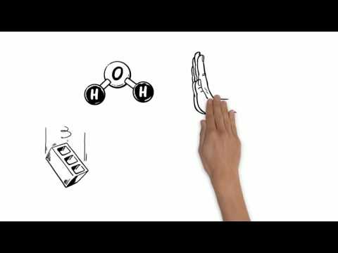 Archimedes Principle