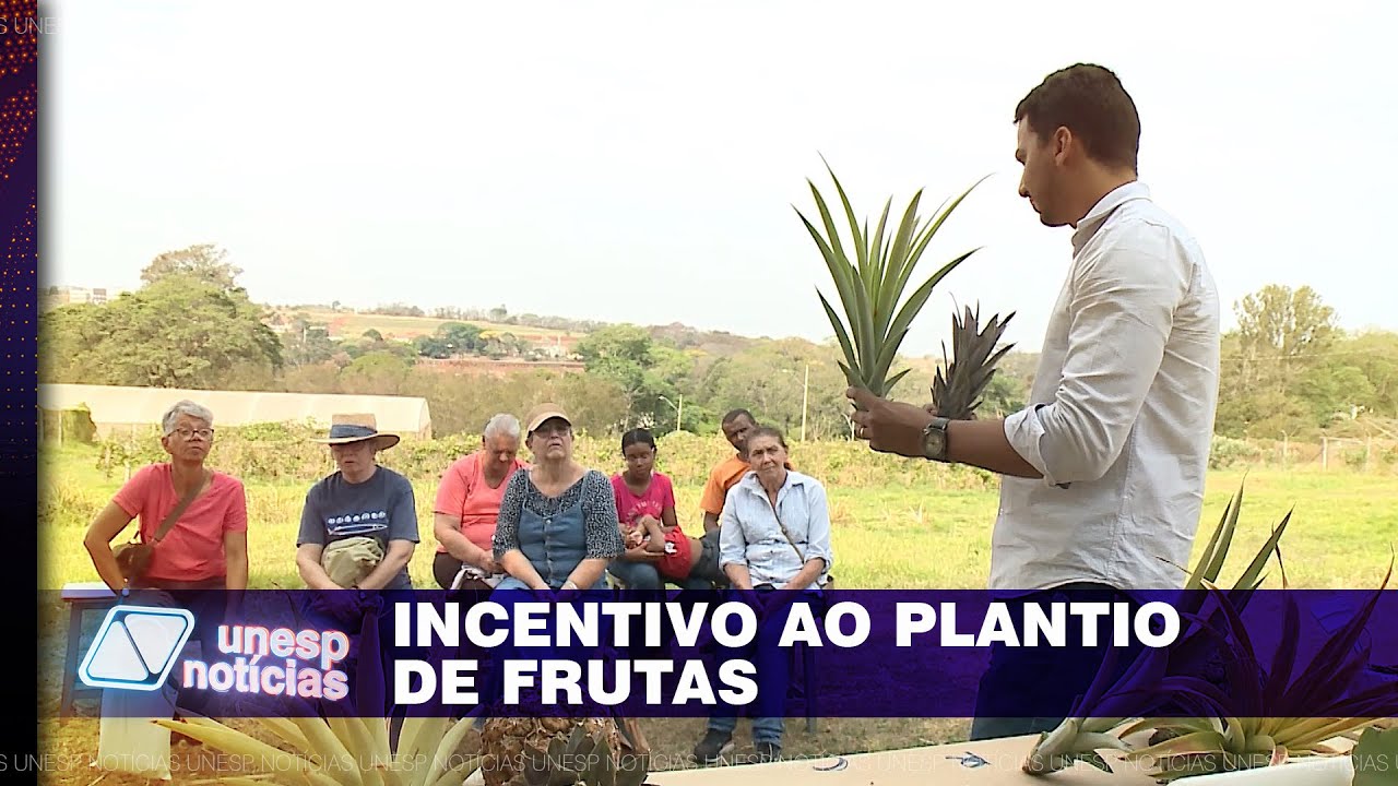 Ação da Unati em Botucatu oferece curso sobre plantio e propagação de espécies frutíferas