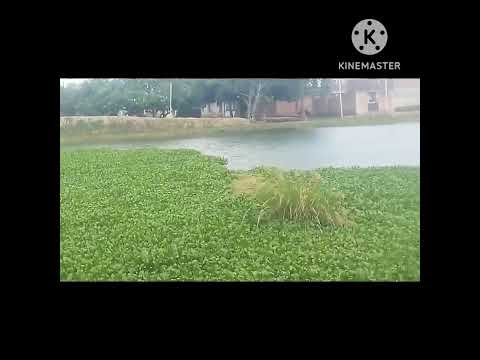 My new video please like and subscribe Android app mor please send me @....#...₹.....