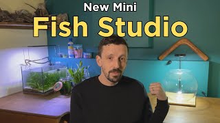 How I Set Up My Mini Fish Studio