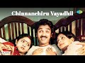 Chinnanchiru Vayadhil - Audio Song | Meendum Kokila | Ilaiyaraaja | K.J. Yesudas, S. Janaki