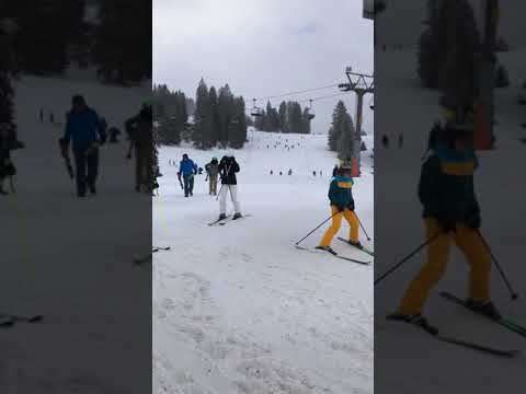 Rhoda The Traveler at Flumzerberg Resort in Switzerland