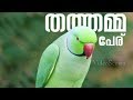 Thathamma Peru Lyrical Status Video Malayalam Whatsapp Status Dileep Kunchako Kavya Dosth