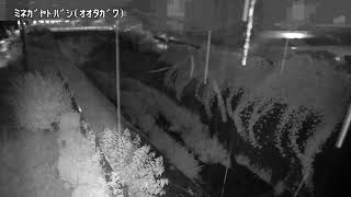 峯ヶ谷戸橋映像監視局