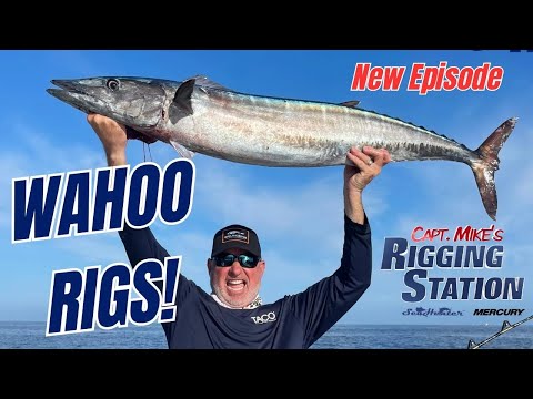 Wahoo rigs | Wahoo rigs for trolling | Wahoo fishing rigs | Best wahoo rigs 2024 | FSFTV