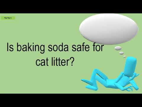 Is Baking Soda Safe For Cat Litter?