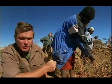 Ray Mears' Wild Food Episode 1