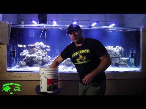 700 Gallon Phoenix reef tank build gets fish !!!!! I