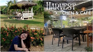 Harvest Kitchen & Cafe vlog ☕️ Indang Cavite | ft. Aerox 2021